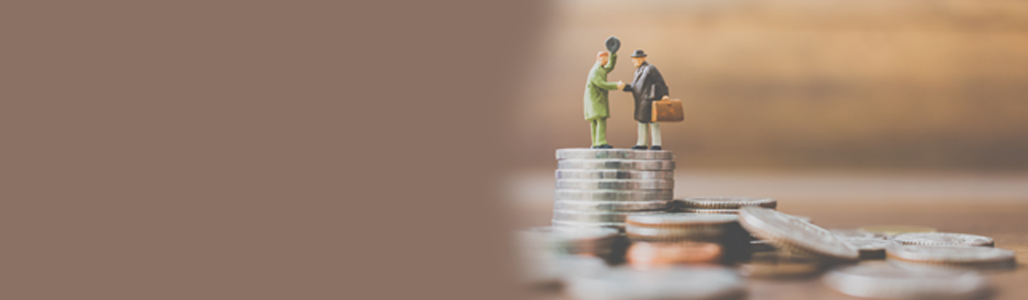 Flexi Cap vs Index Funds